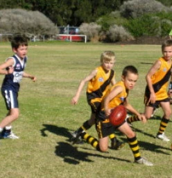 Pittwater Tigers Junior AFL Club Narrabeen 1