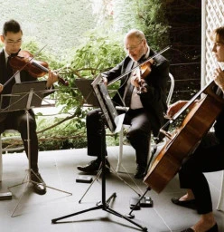String Musicians Australia North Boambee Valley 1