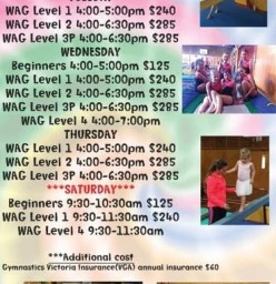 Term Program 2017 *** WE ARE OPEN ON SATURDAYS