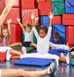 Gymnastic ninja