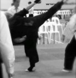 Tournament sparring
