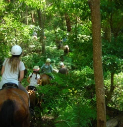 Riding through the forest on our overnight camp - out