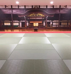 Downstairs dojo