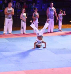 Martial Arts spectacular - whitlam centre