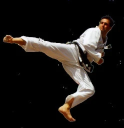 Hwaju Daniel Perez 7th degree - Training since 1985