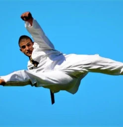 Pinnacle Martial Arts in Chester Hill