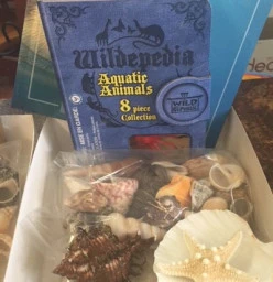 Ocean Discovery Kit