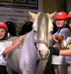 FREE Ready Set Trot Family Carnival at the Sydney International Equestrian Centre Horsley Park 1
