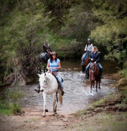 All our rides cross Megalong Creek