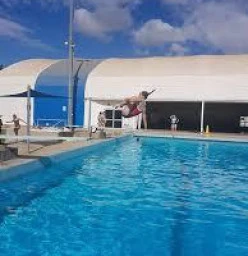 One metre and 3 Metre Springboards available