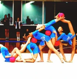 Le Ray Gymnastics Greenacre 1