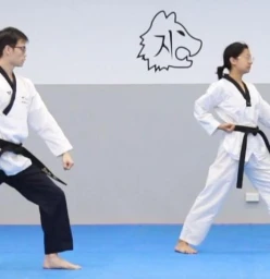 Taekwondo training