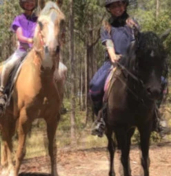 Riding through the woods