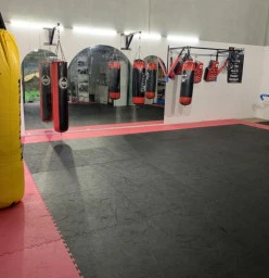 Parties Martial Arts classes