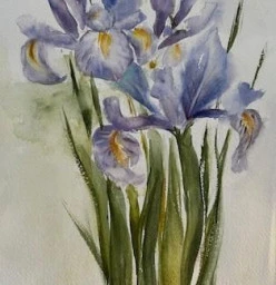 iris, watercolours