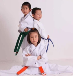Global Shito Ryu Karate St Albans 1