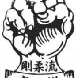 Goju Ryu Karate do Seiwakai Bald Hills 1