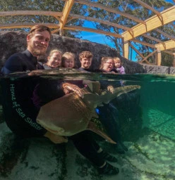 Zebra Shark Encounter in our indoors and heated tropical lagoon