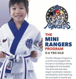 Knock Out Martial Arts & Fitness Georges Hall 1