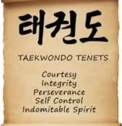 Taekwondo Queensland Milton 1