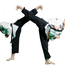 Giant Martial Arts Bexley 1