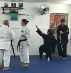 Castle Sensei in Action