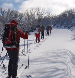 Halls Outdoor Education Gembrook 1
