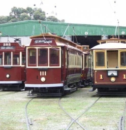 Trams 282, 111 and 1