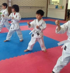 Focus, concentration, discipline