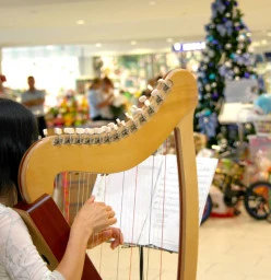 Harpist Cindy Springwood 1