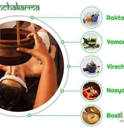 Ayur Healthcare Ayurveda Parramatta - Ayurveda Consultation - Panchakarma Detox Centre, Parramatta Parramatta 1
