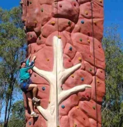 Rock Wall Climbing