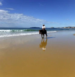 Rainbow Beach Horse Rides
