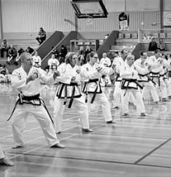 Shimjang Taekwondo Healesville and Gembrook Healesville 1