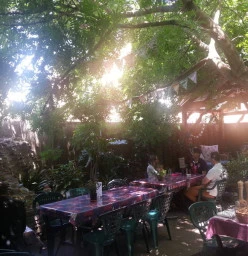 Adelaide secret garden in the heart of the city