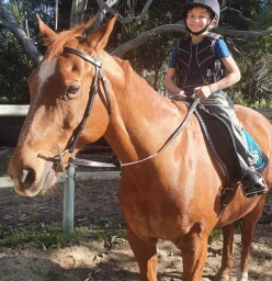 Wa Horse Therapy Woodridge 1