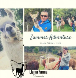 Llama Farma Deloraine 1