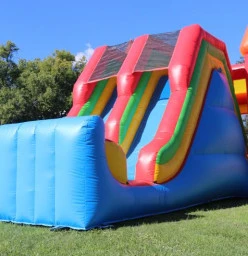 emoji giant double slide castle