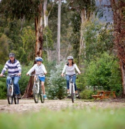 Cycling around Marysville.