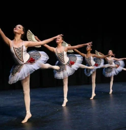Spanish Classical - 12/U