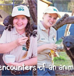 Close encounters of an animal kind at Wildlife HQ
