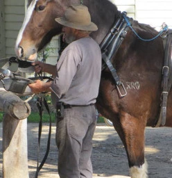 The Australiana Pioneer Village Wilberforce 1