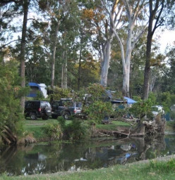 Fat Hen creek campsites