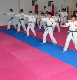 Chito-Ryu Karate-Do