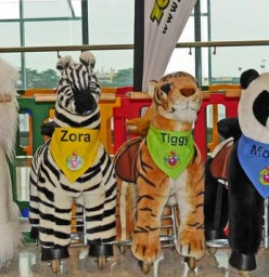 Zoo on Wheels Prahran East 1