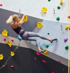 Indoor Rock Climbing in Sydney