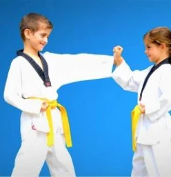 Pinnacle Taekwondo  Karate Martial Arts in Guildford for kids teens and adults
