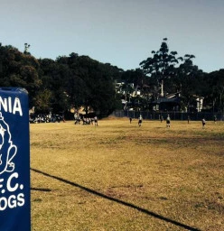 Sylvania Rugby Club Sylvania Heights 1