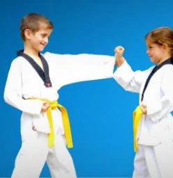 Pinnacle Taekwondo Martial Arts Academy in South Granville for kids teens and adults
