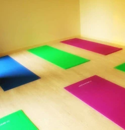 Zen Om Yoga Studio Schofields 1